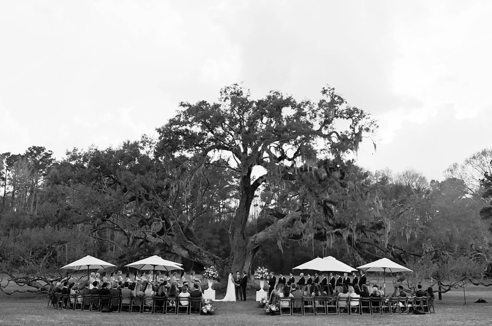 A Classic Charleston Wedding Soaked in Spanish Moss