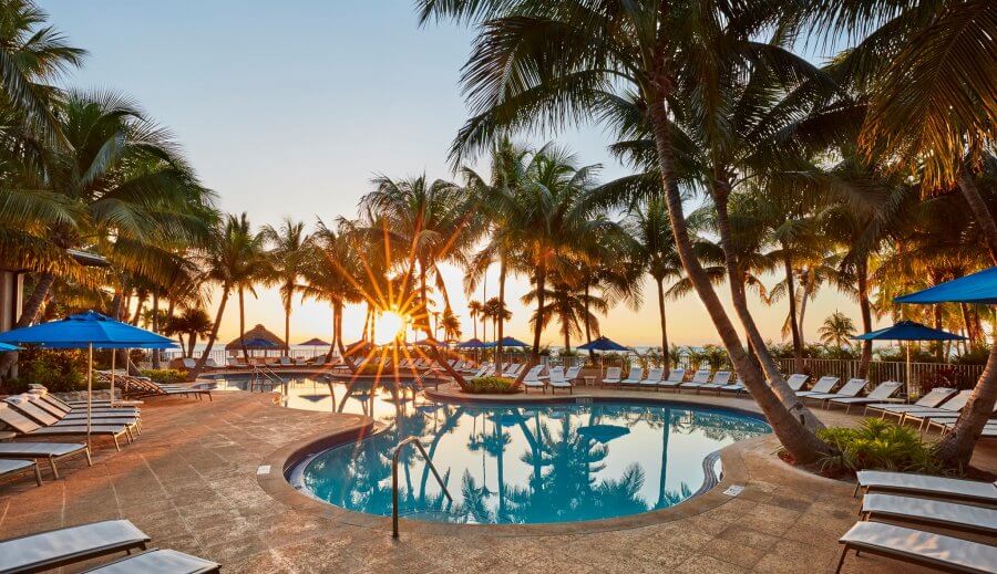 A pool and palm trees at sunset