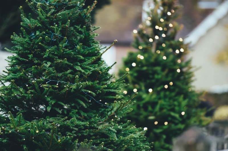 Where to Recycle Your Christmas Tree in Birmingham