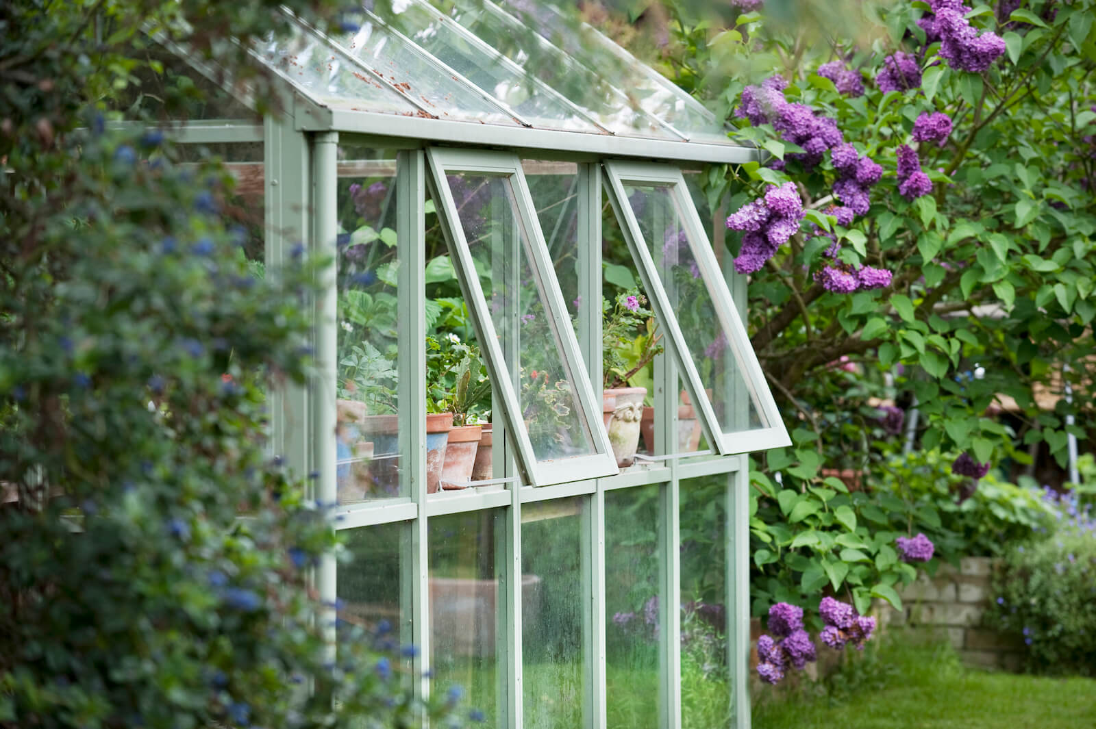 Your Eye Candy for the Day: Southern Greenhouses!