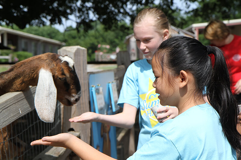 two young girls feeding goat
