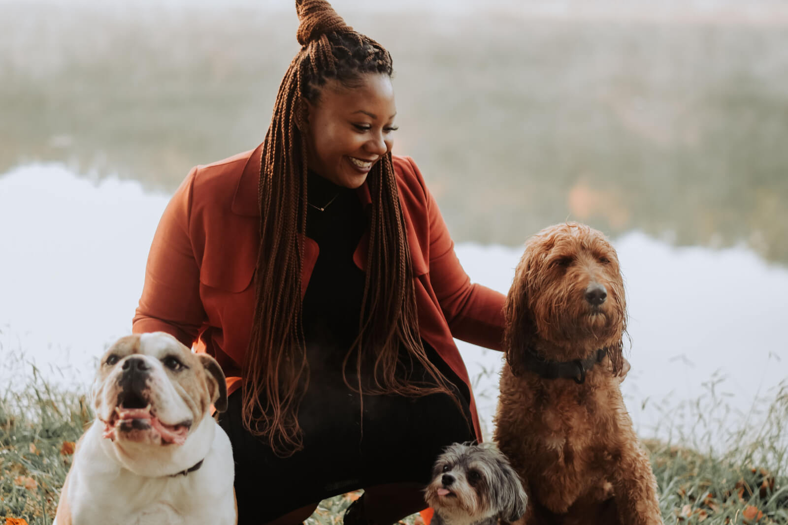 Acupuncture Is For Pets, Too! Meet Nashville’s Dr. Arielle Walton
