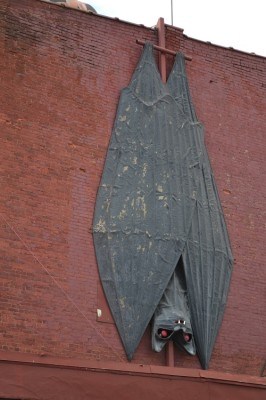 Bat statue hanging on the side of the building.